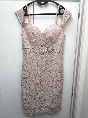 Soieblu Blush Lace Cold Shoulder Sheath Dress Size M